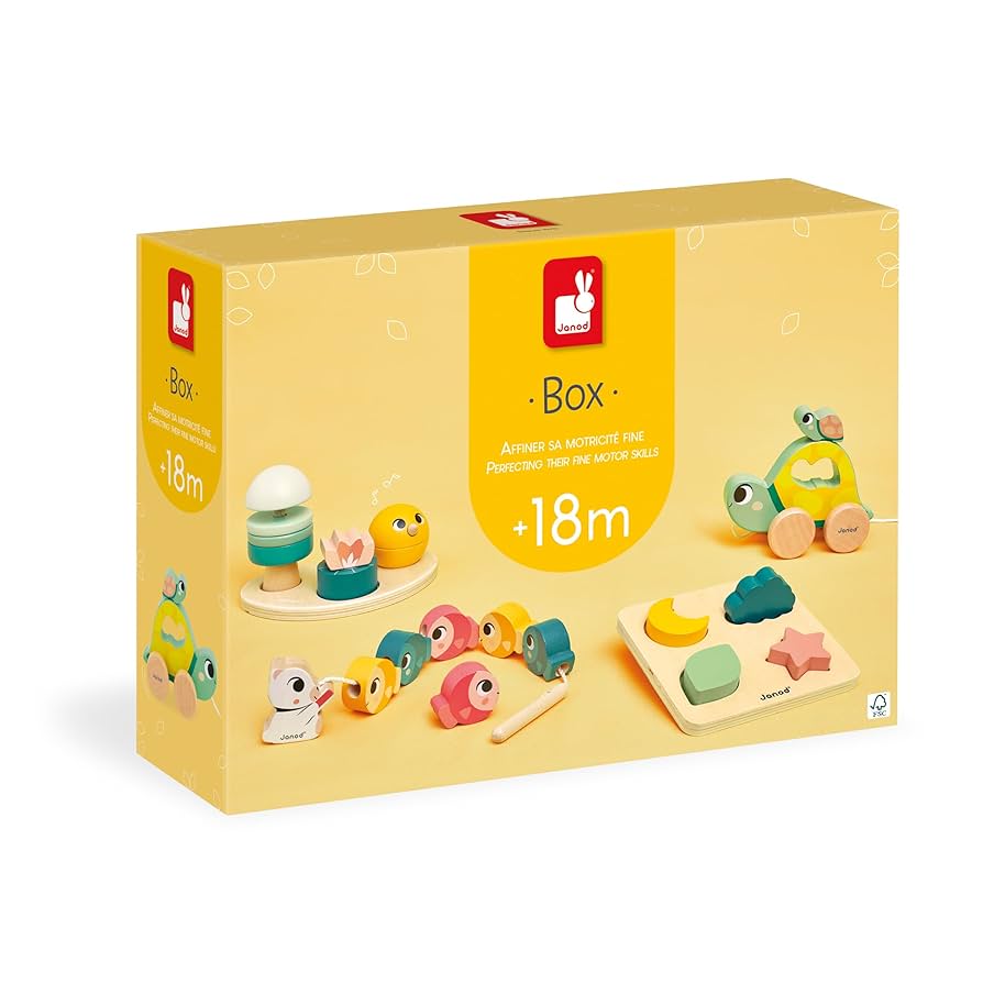18 months Box - Perfecting Their Fine Motors Skills