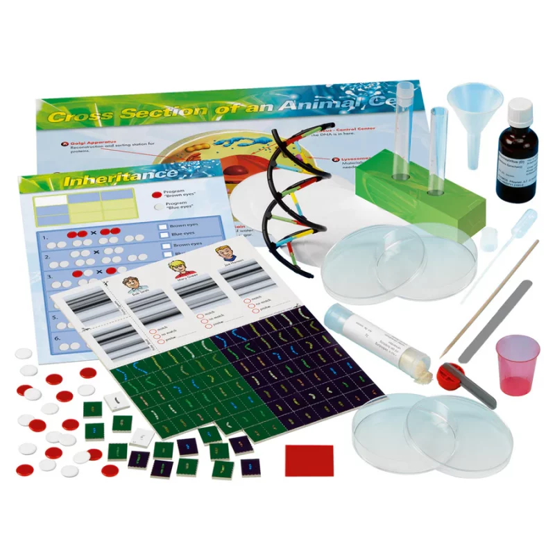 Genetics And DNA - Image 2