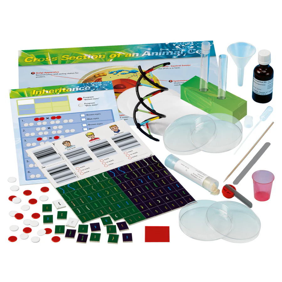 Genetics And DNA - Image 2