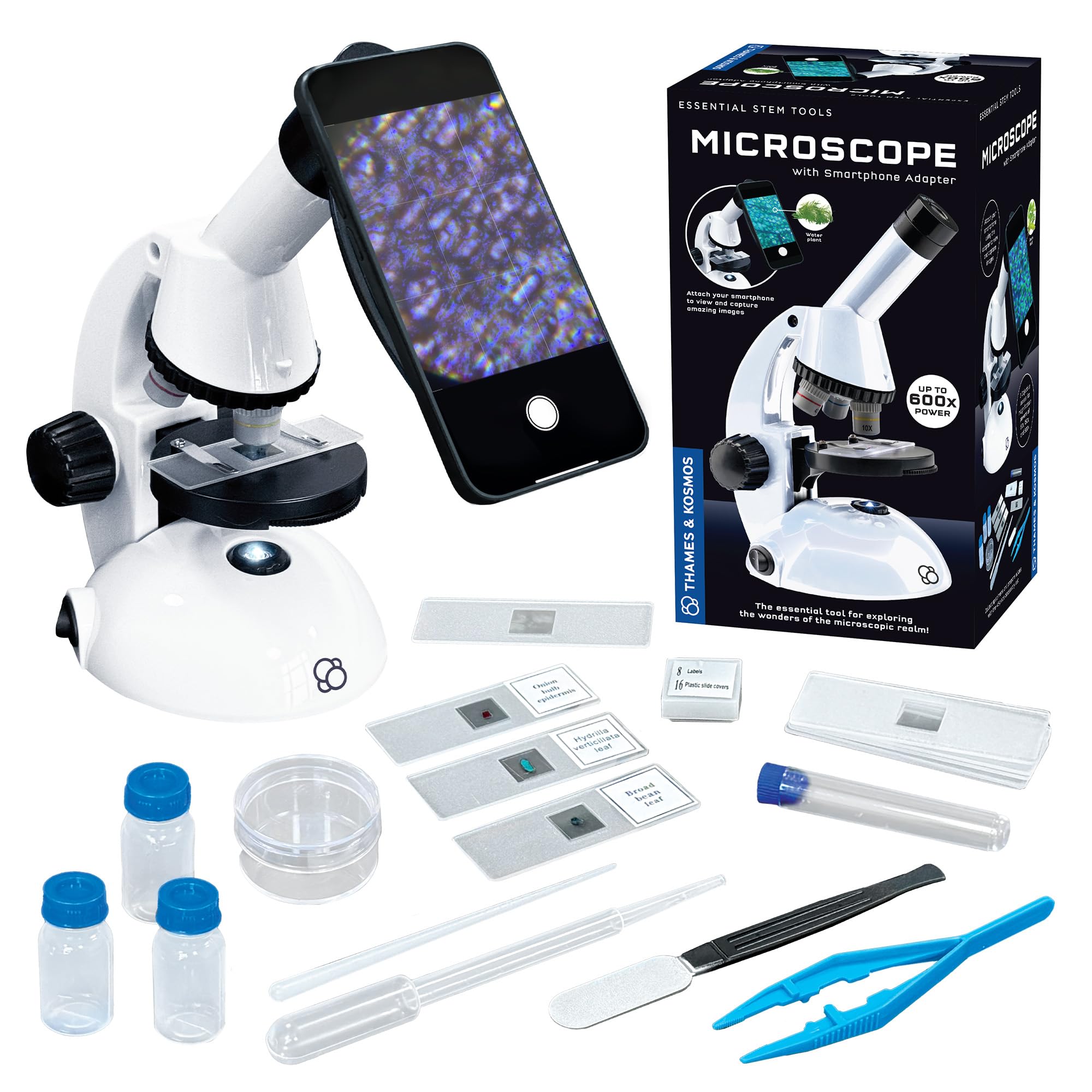 Microscope - Image 2