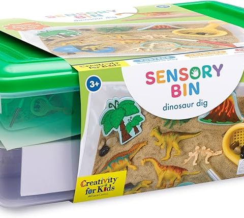 SENSORY BIN Dinosaur Dig